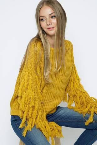 Fringed Sleeve Trimmed Sweater